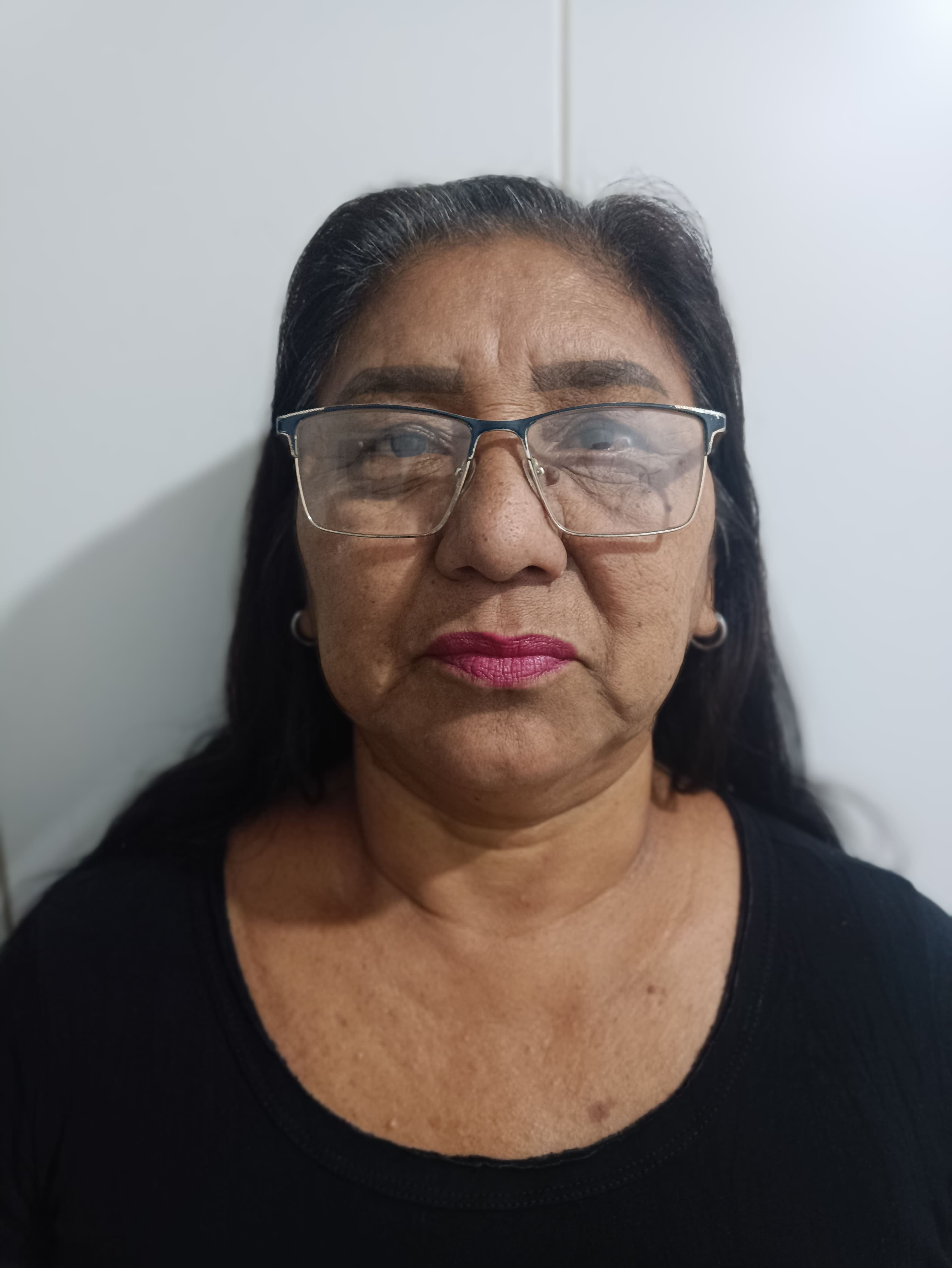 Erlande Dolores Brito Candido — profissional Revolusolar